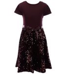 Xtraordinary Burgundy Velvet Sequin Fit And Flare Dress